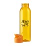 Trinkflasche 650ml